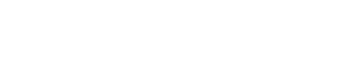 Estudio Nemirovsky